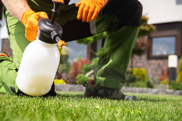 Best Ant Control Services  in La Crosse, KS