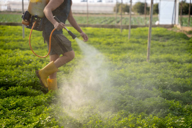 Professional Pest Control in La Crosse, KS
