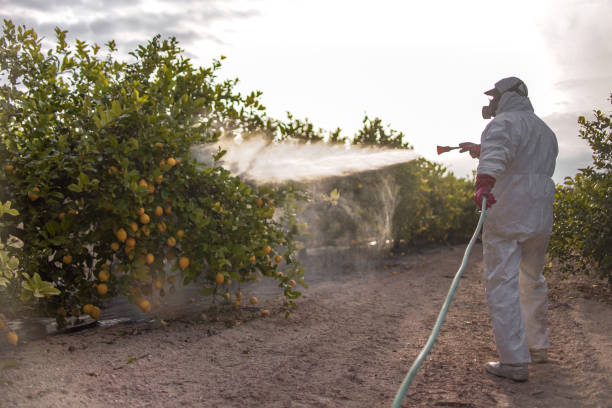  La Crosse, KS Pest Control Pros