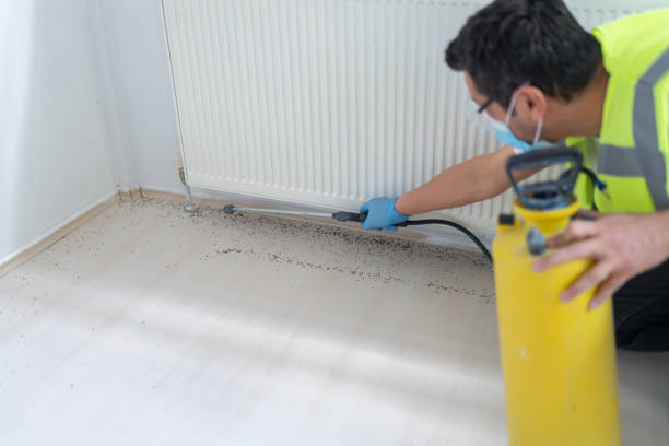 Best Best Pest Control Companies  in La Crosse, KS