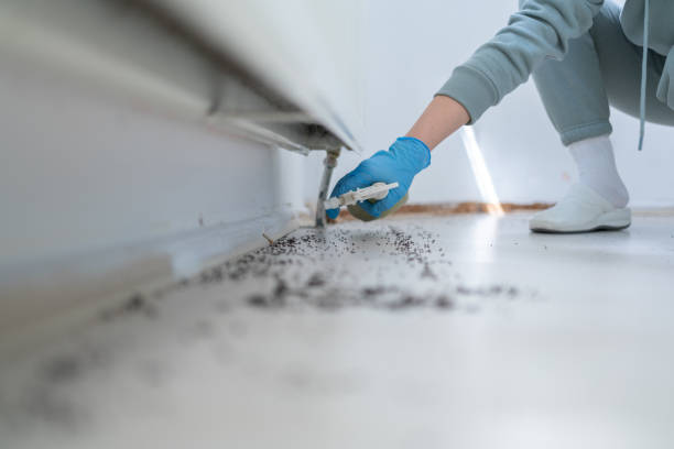 Best Bed Bug Extermination  in La Crosse, KS