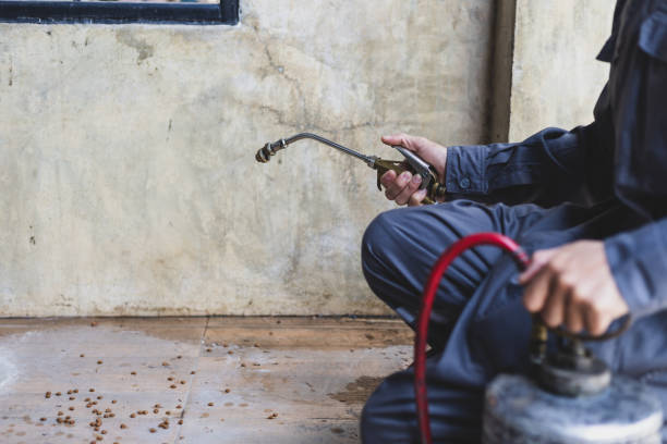 Best Local Pest Control Services  in La Crosse, KS